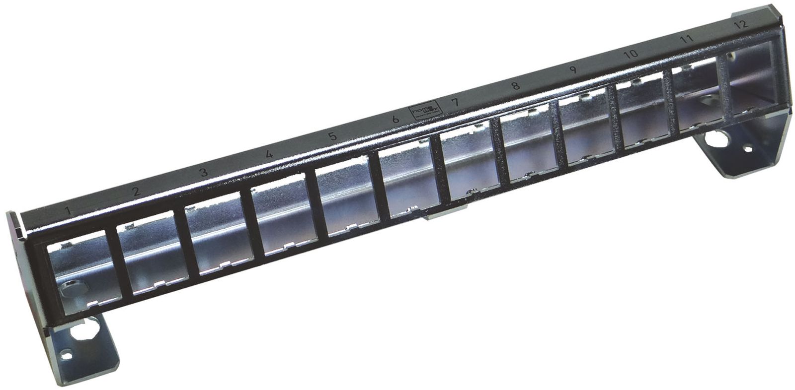 Patchpanel 12Ports AP