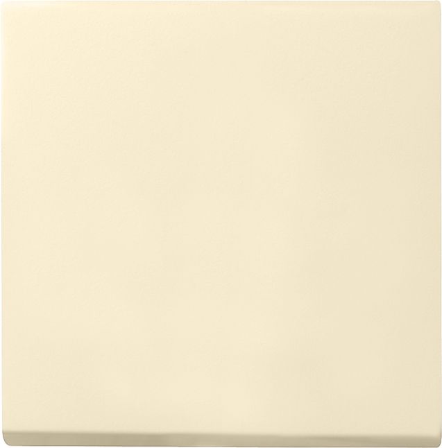 Wippe Schalter System 55 cws glz