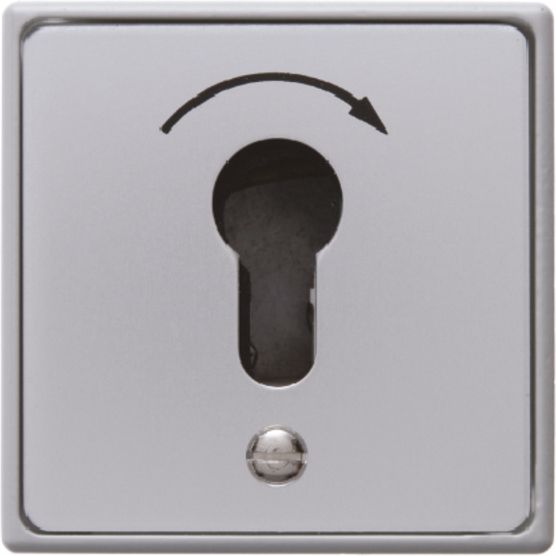 Schlüsseltaster-Modul alu IP44 1S UP