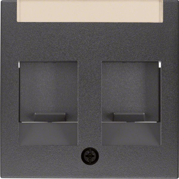 Zentralplatte Mod-Jack 2f B.3/B.7 anth Schraubbef m.Staubschutz m.Beschr.Feld