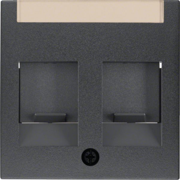 Zentralplatte Mod-Jack 2f B.3/B.7 anth Schraubbef m.Staubschutz m.Beschr.Feld
