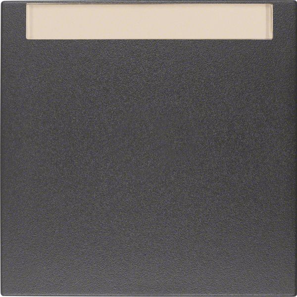 Wippe Schalter B.3/B.7 anth mt BSF Mit Beschriftungsfeld