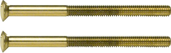 Sicherheitsschraube vers Zweiloch ST M3,5x50mm g/vz Ø3,5mm