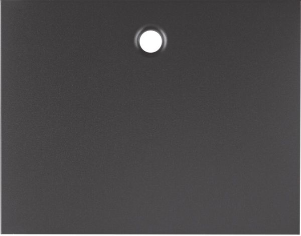 Zugschnur Schalter K.1 anth mt