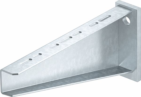 Wand/Stielausleger AW 80-Serie 310mm ST 8000N