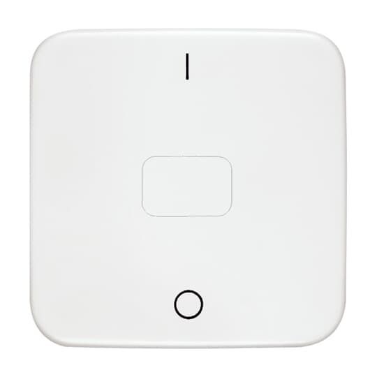 Kontrollwippe Schalter Reflex SI aws glz Kennz.0/1