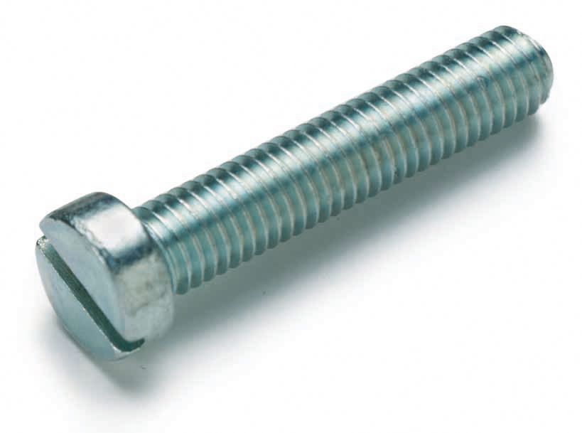 Maschinenschraube/Bolzen M6x25mm Schlitz SW10 ST 4.8 g/vz