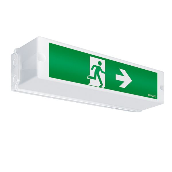LED-Sicherheitsleuchte SLA 2,3W IP54 14m Wand/Decke 1LED eins/zweis auto.Selbstt