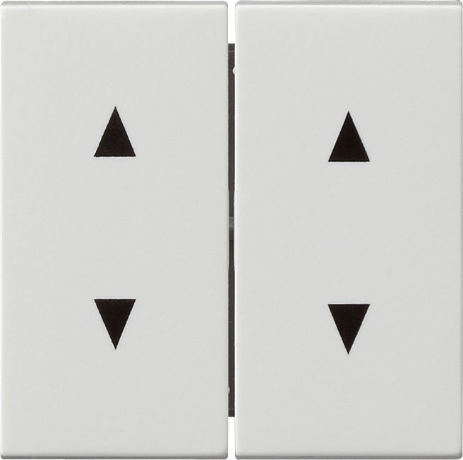 Wippe 2t Jalousie System 55 rws glz Symbol Jalousie