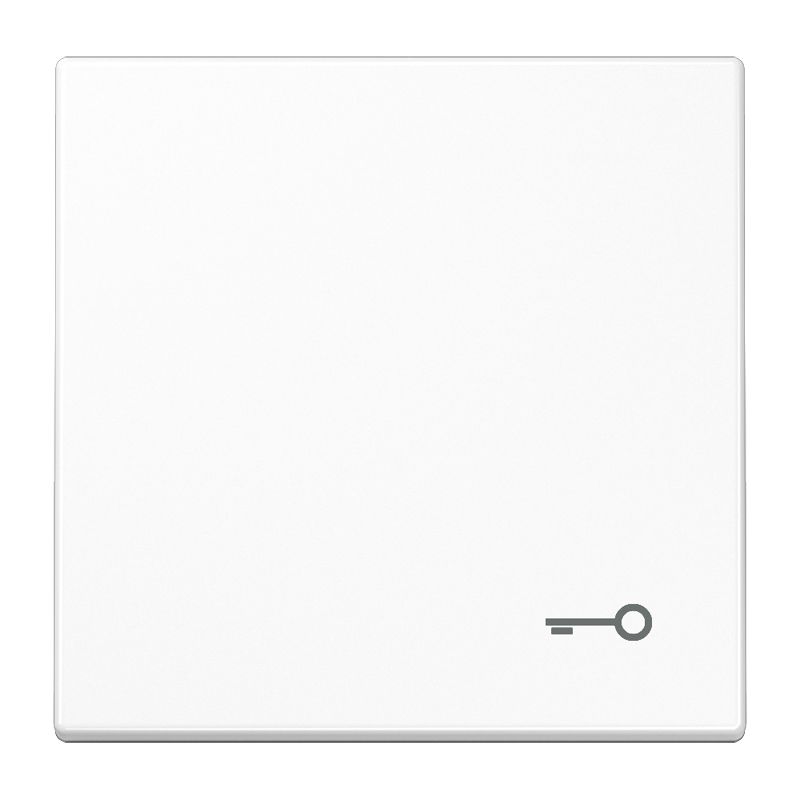 Wippe Schalter LS aws glz Schl/Tür Symbol Schlüssel/Tür