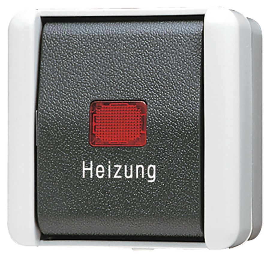 Kontroll-Wechselschalter WG 800 gr glz AP IP44 1f 10AX