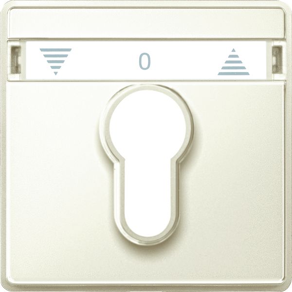 Schlüssel/Abd Schalter AQUADESIGN ws glz Symbol Pfeile