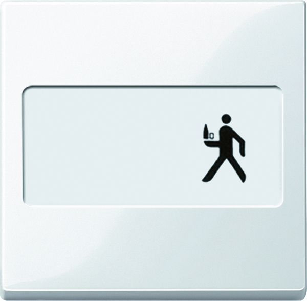 Wippe Schalter System M polws glz div.Symbole Mit Beschriftungsfeld