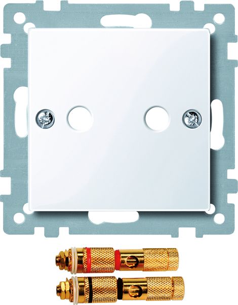 Einsatz LS 2f System M akws Schraubbef aktivweiß