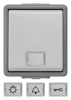 Einzeltaster-Modul gr 1S DELTAfläche AP IP44 Symbol Schlüssel/Tür glz