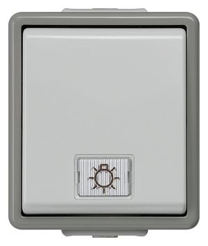 Kontroll-Wippschalter gr DELTAfläche AP IP44 1f glz