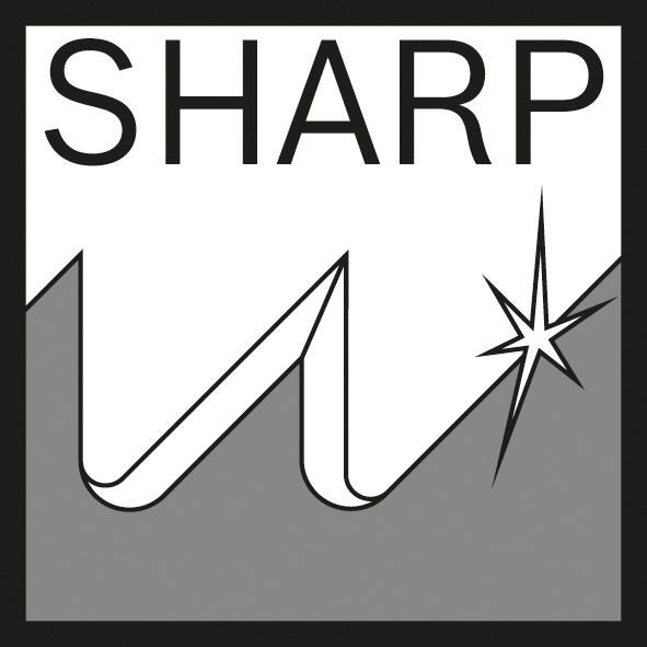 Säbelsägeblatt 240mm Holz f.Holz