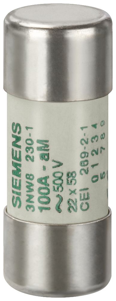 Keramiksicherung T 100A 500V AC 22x58mm Keramik
