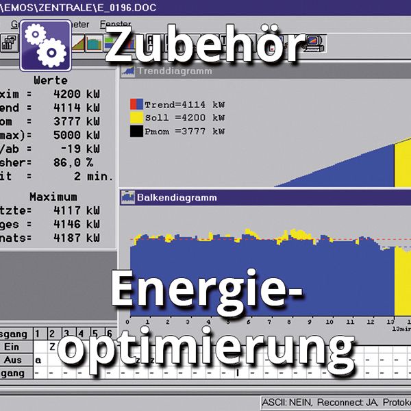 Maximumwächter 230V 10VA 225x257x124mm IP50