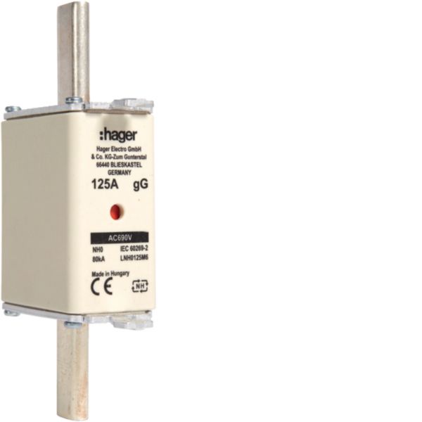 NH-Sicherungseinsatz 125A NH0 690VAC gG Kombik