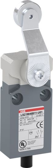 Einzelpositionsschalter 1S 1Ö Metall Schwenkhebel Rollenstößel gerade