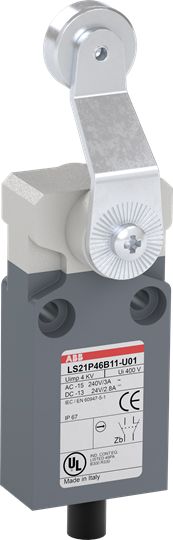 Einzelpositionsschalter 1S 1Ö Kst Schwenkhebel Rollenstößel gerade