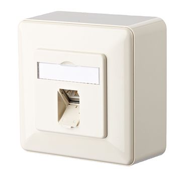 Anschlussdose Cat6A 2xRJ45 LSA Kanaleinb rws schräg m.Staubschutz