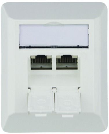 Anschlussdose Cat6A AP 2xRJ45 LSA schräg aws AP-Mont m.Staubschutz