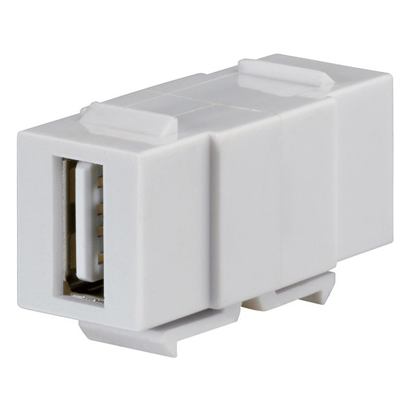 Einsatz USB 1f rws Schraubbef ohne