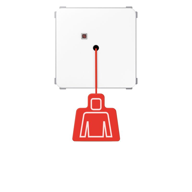 Zugtaster f.Beh aws CD / NaV RAL9010