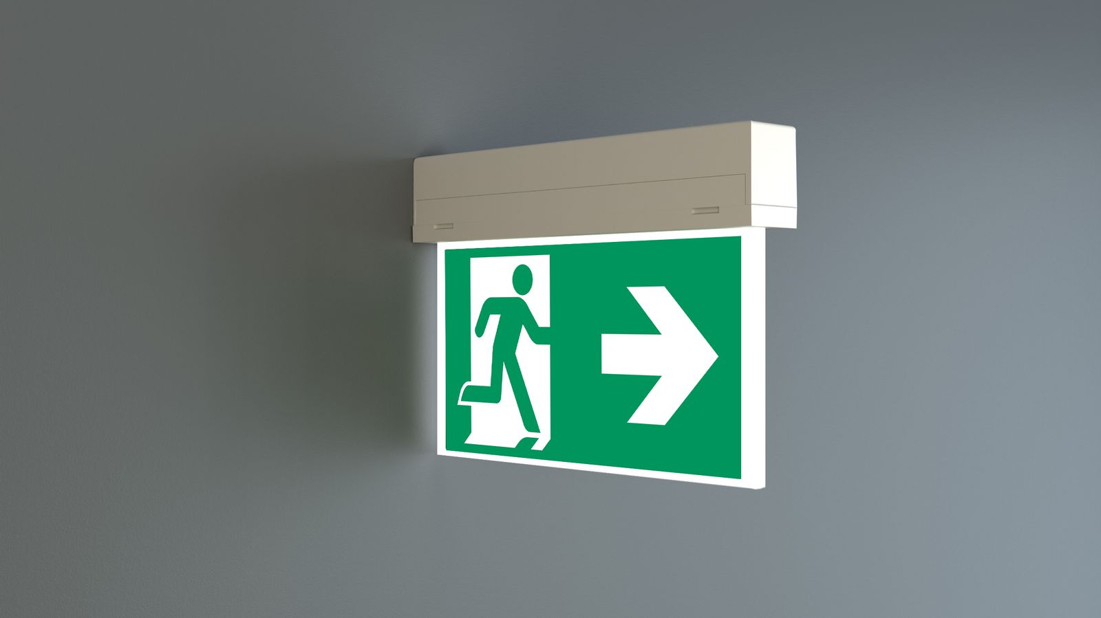 LED-Sicherheitsleuchte 3,1W 6500K IP54 1LED Wandanbau/Deckenanbau 22m dezentr