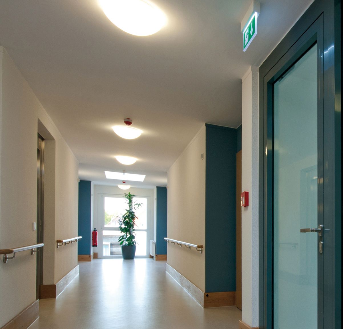 LED-Sicherheitsleuchte 3,1W 6500K IP54 1LED Wandanbau/Deckenanbau 22m dezentr