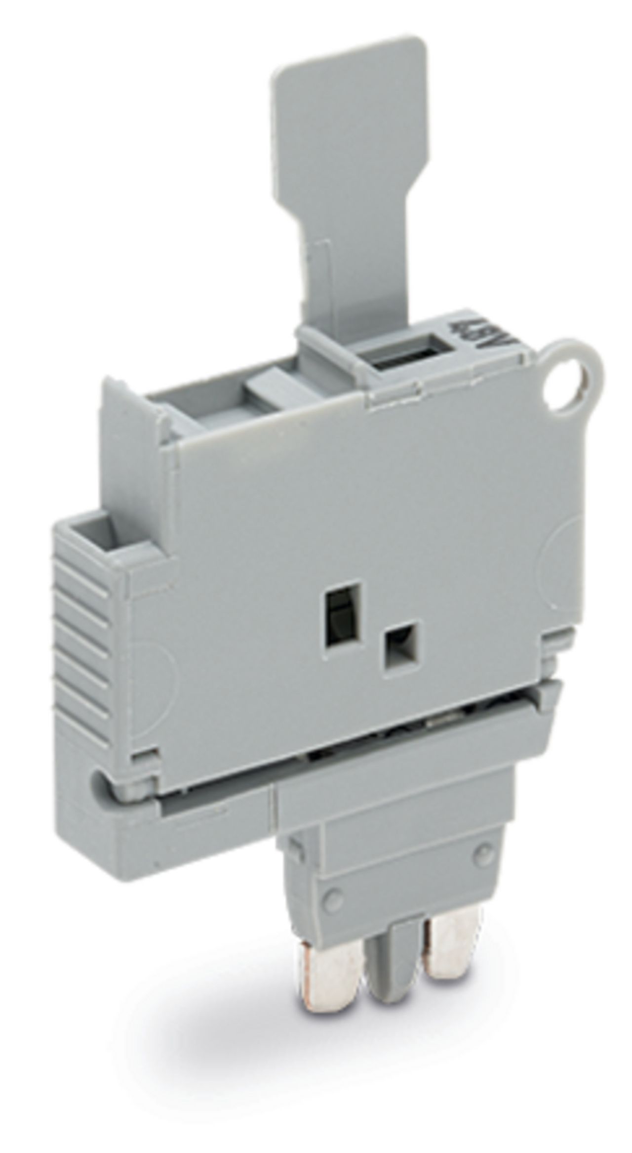 Sicherungs-Reihenklemme Serie 2004 LED G-Sich_5x20mm steckb 30-65VAC 6,3A