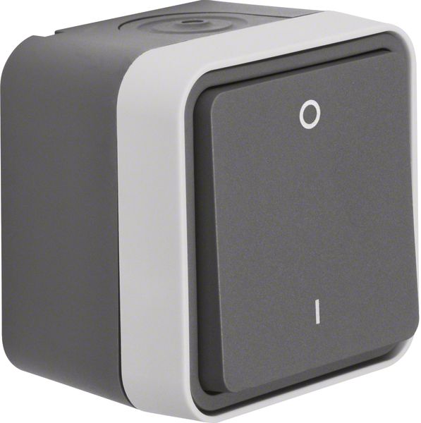 Wippschalter lgr mt W.1 AP IP55 2p 1f 10AX