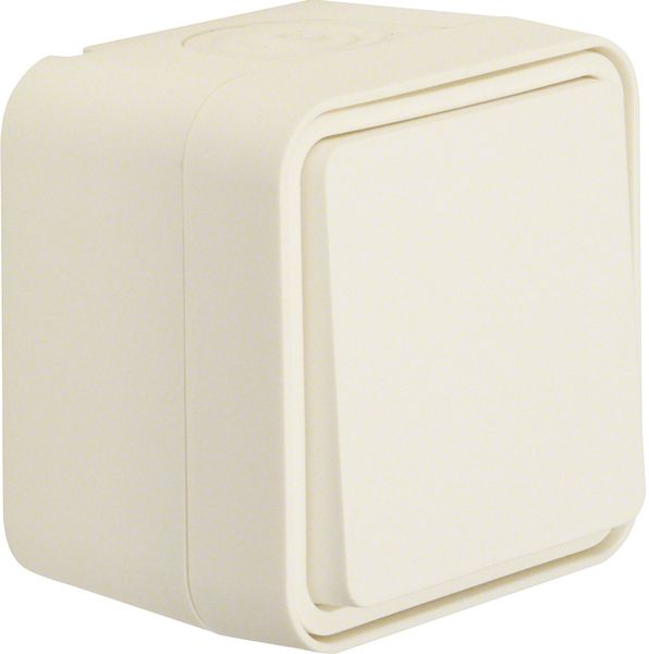 Kreuzschalter polws mt W.1 AP IP55 1f 10AX