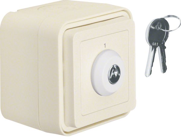 Jalousietaster-Einsatz W.1 polws mt IP44 Schlüssel 1p