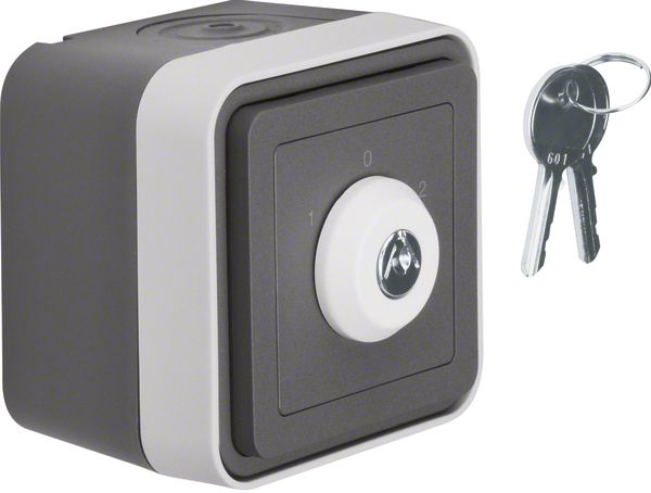 Jalousieschalter-Einsatz W.1 lgr mt IP55 Schlüssel 2p