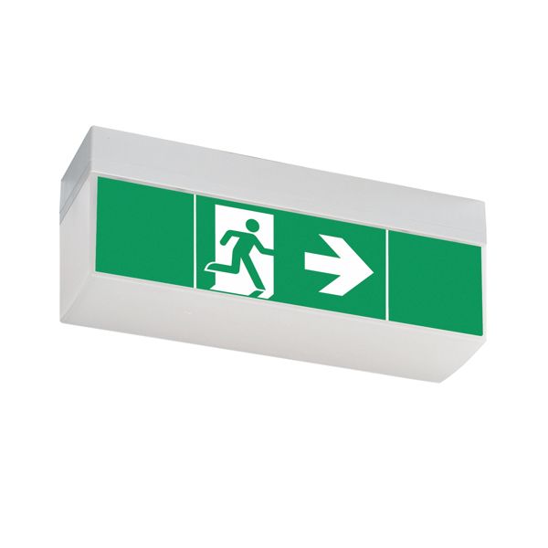 LED-Sicherheitsleuchte 5W IP41 Deckenanb 17m 6LEDs eins/zweis Prüftaste dezentr