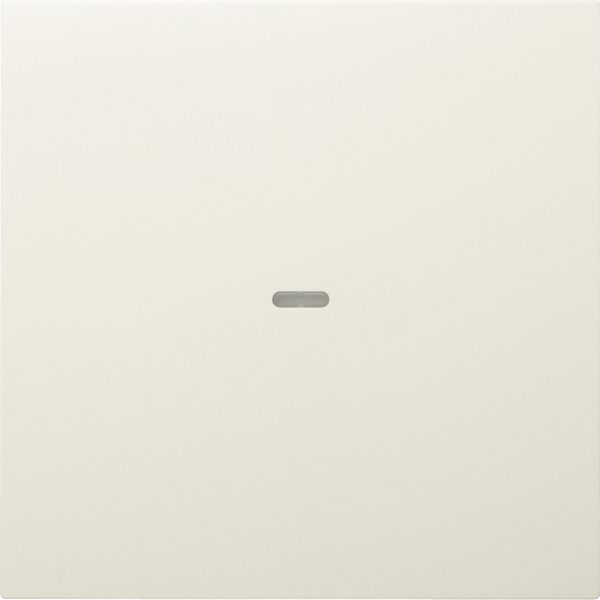 Kontrollwippe Schalter S.1/B.3/B.7 anth mt Mit austauschbarer Linse/Symbol