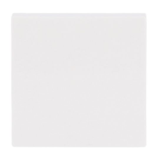 Wippe Schalter Busch-balance SI aws glz