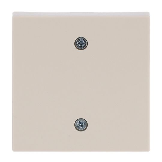 Zentralplatte Schalter solo elf-ws glz elfenbein-weiß