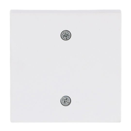 Zentralplatte Schalter future linear std-ws mt