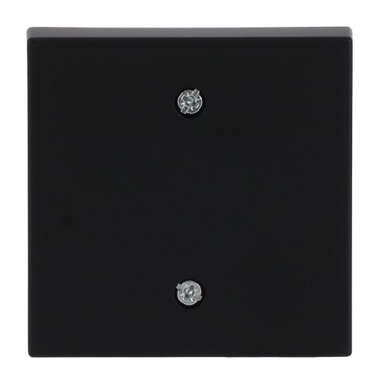 Zentralplatte Schalter future linear sw mt