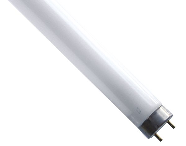 Schwarzlichtlampe 25W vi G13 Stab Ø26mm 450mm Splitterschutz 368