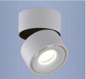 LED-Anbaustrahler 13,7W 3000K 1040lm Alu Konv ws mt 1LED IP20 mediumstrahlend