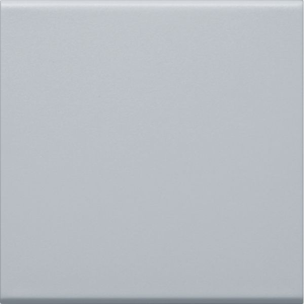 Wippe Schalter alu lack