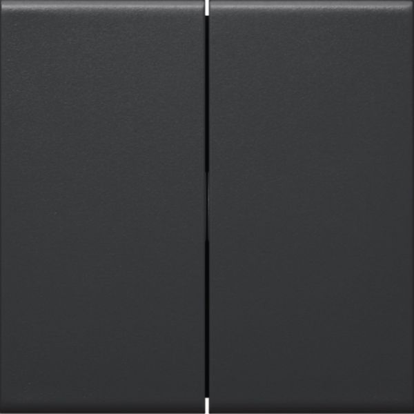 Wippe Serien Schalter sw