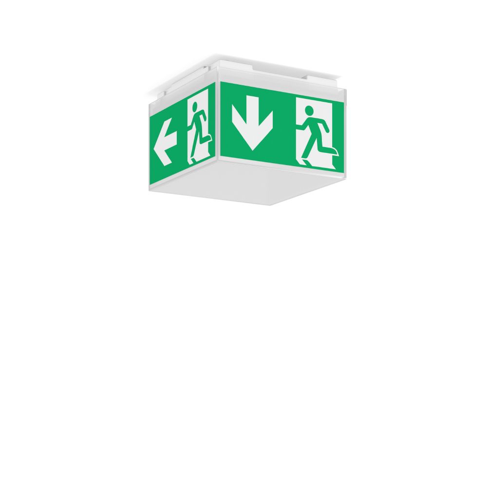 LED-Sicherheitsleuchte Signcube Mini 4W 6500K 1LED 170lm Deckenanb 19m dreis