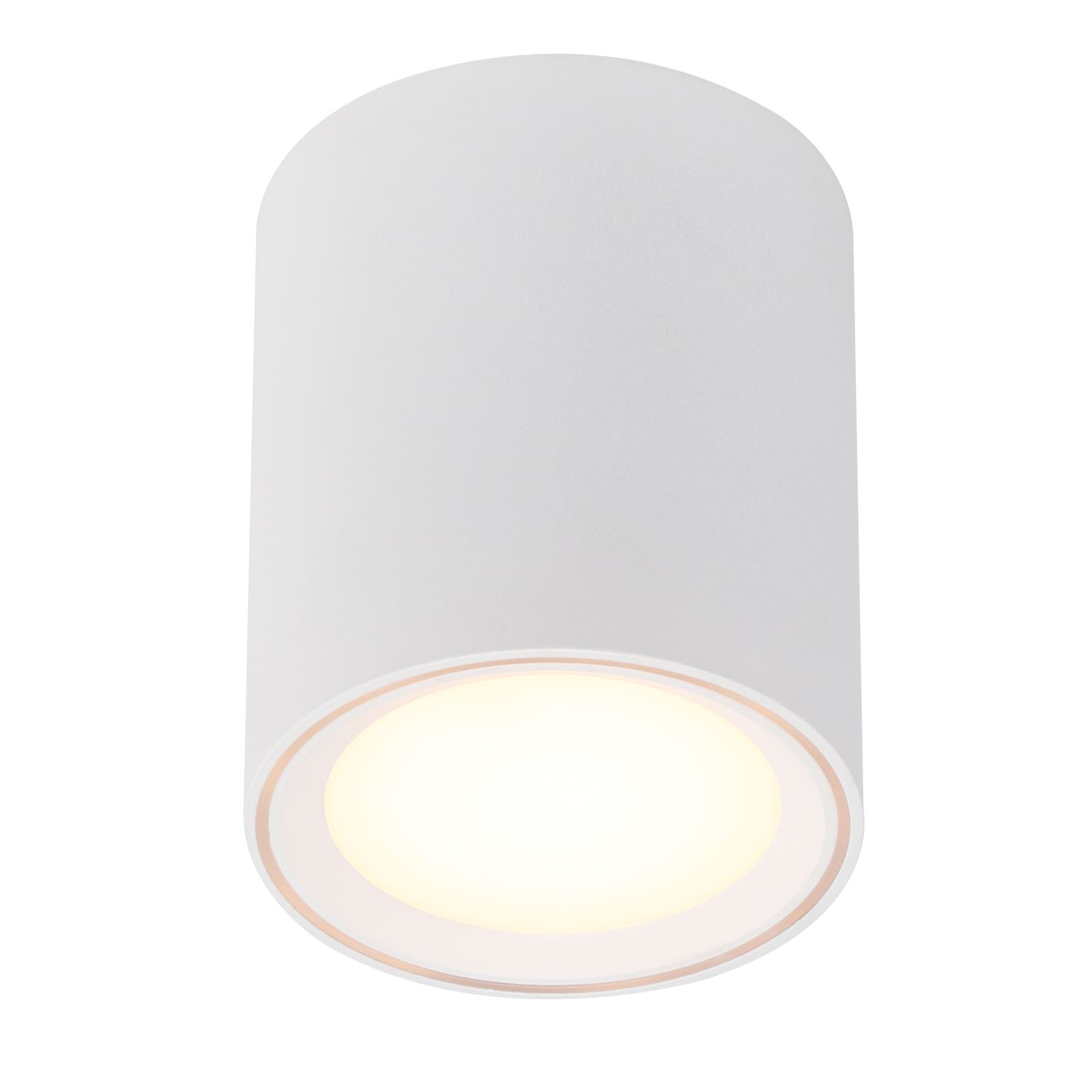 LED-Deckenanbauleuchte FALLON 5,5W 2700K 500lm ws Konv IP20 Ø100x120mm