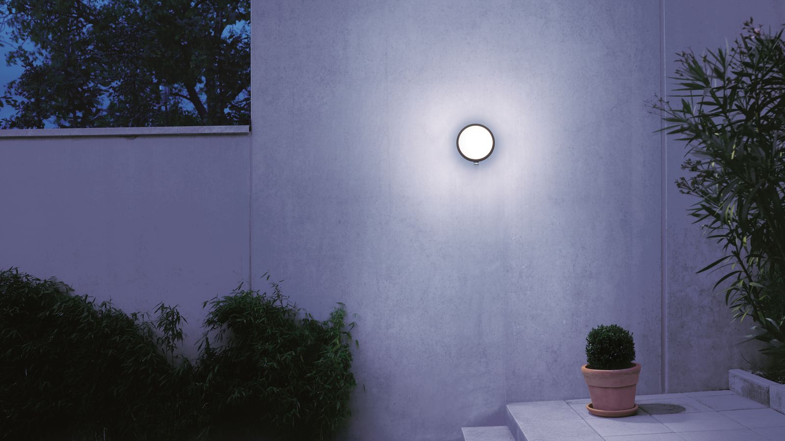 LED-Sensorleuchte 8,4W 3000K 711lm anth Konv IP44 BWM Ø253x123mm